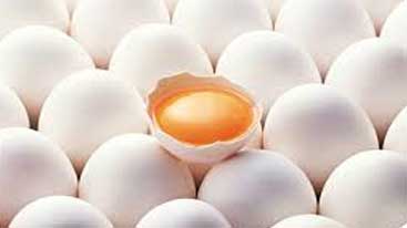 Et – Yumurta – Tavuk Uygulamaları