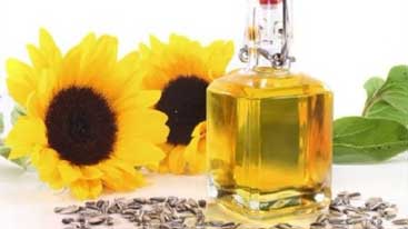 Sunflower Seed Oil - Corn Oil Process